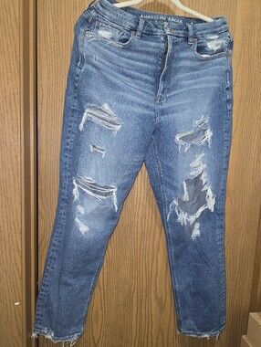American Eagle Outfitters high-rise Curvy Mom Jeans Size US 10R